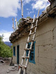Roof with wood and a familiar (and here, unusual) kind of ladder.