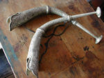 Horns at Eklai Bhati, where we stopped for . . . dal bhat, again.