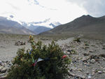 Trail up to Muktinath