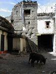 Typical Kagbeni scene