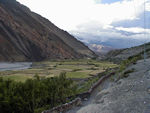 Kagbeni's fields