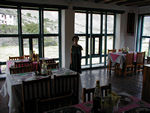 Maggie in the dining room