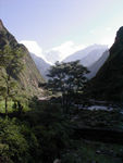 View up the river