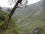 Terraced fields