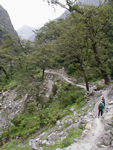 Hiking
