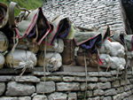 Mule loads and saddles