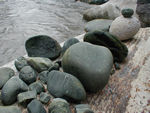 Tote's collection of "blue" rocks