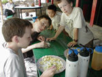 Finishing dhal bhat and playing a compld game with egg shells.icat