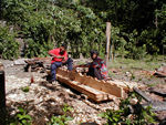 Carpenters