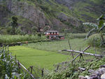 Typical field
