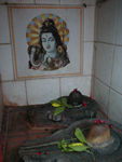 Another shrine with lingnams and yonis