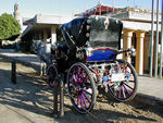 Horse carriages.  They would take you anywhere for about $1.50.  The mini-buses took us around for a guilt-provoking $.35, and they were more fun.  Unfortunately, these carriages are used mainly by tourists and the drivers seem to constantly harassing tourist-types, like us.