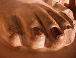 A big foot