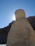 Sun and falcon