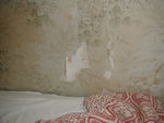 Wallpaper and wall next to the bed.  The mattress and pillows matched the decor.