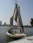 Our feluccas.  Feluccas have supposedly cruised the Nile since ancient times.  This one may have.
