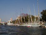 A bunch of feluccas at the dock