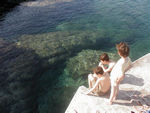 Potential swimmers contemplated the potential