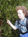 Maggie with a succulent plant from which she made "fish"