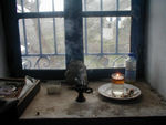 Oil lamp