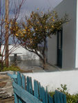 Pretty house