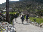 Following some donkeys