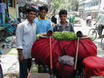 Cool water salesmen
