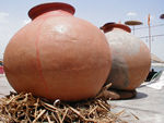 Pots