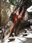 Hindu trident on tree.  The trident represents the three main gods in the Hindu pantheon - Shiva, Vishnu, and  Brahma.  Many people have a favorite, usually Shiva or Vishnu.  The trident is everywhere.