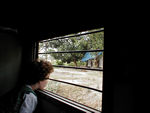 Looking out the window