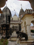The other Jain temples are older.  It is difficult to discern, at least from the outside, that these temples are Jain as opposed to Hindu temples.