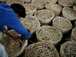 These are all baskets of chicks
