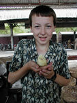 Tote and baby chick