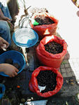 market