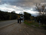 The bus