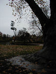 The Hamlet