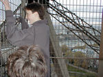 Trapped in the Tower