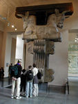 Capital for Darius's palace