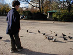 Feeding the birds