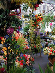 The market