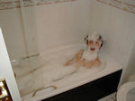 Tale of a Tub