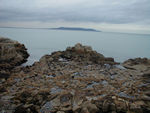 Yep.  Near Sandycove