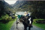 The "clip clop" that Maggie and Grandma took while the crew was hiking up Carantouhill