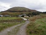 Sheep and shepherd