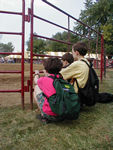 Watching the draft horses