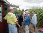 The start of the corn maze