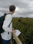 What a corn maze looks like from above